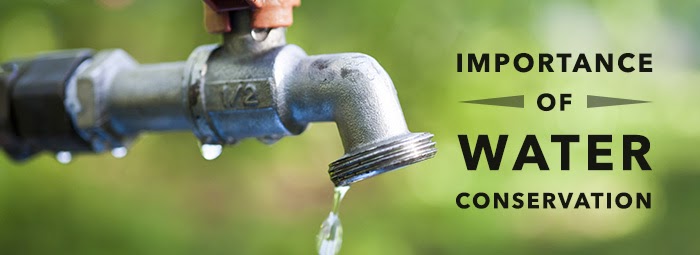 30 Ways to Save and Conserve Water (Indoors & Outdoors)