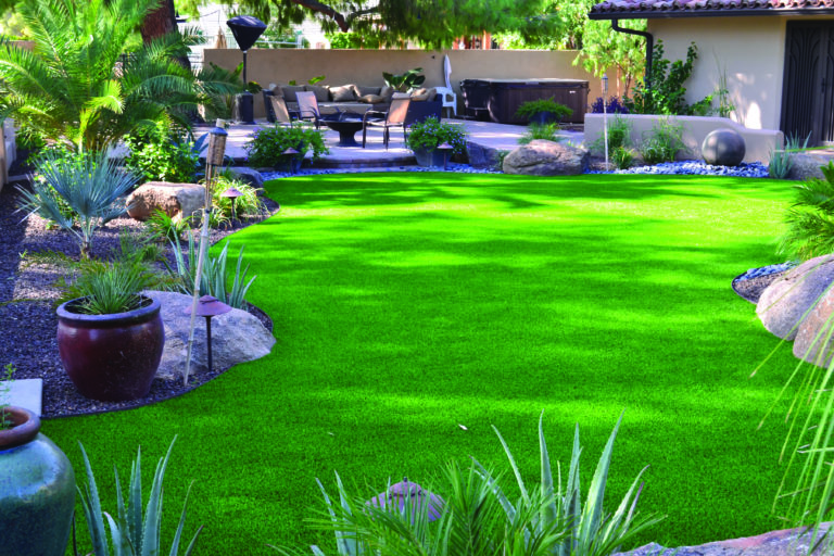 The Ultimate Guide to Natural Grass Lawn Alternatives Turf Factory