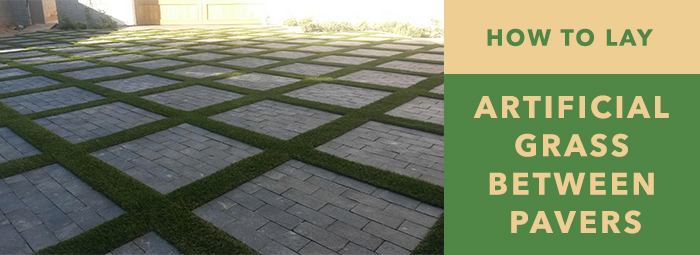 Artificial grass between deals pavers