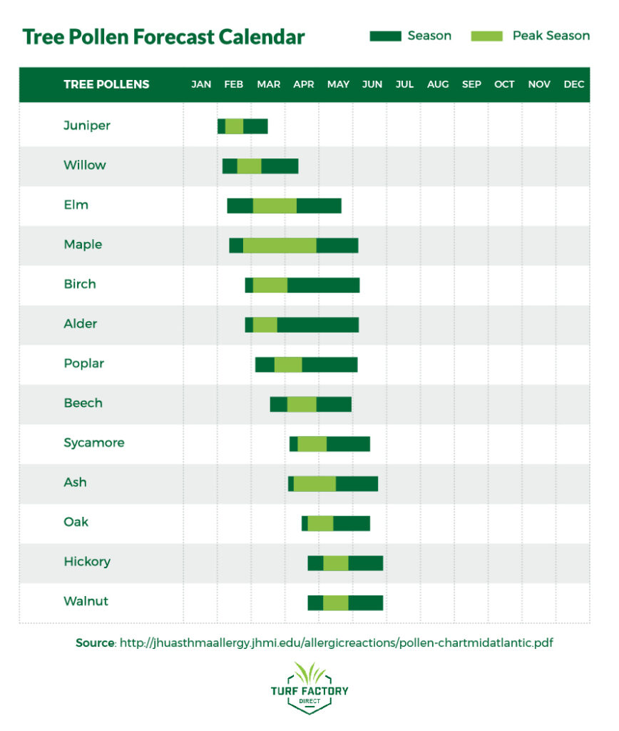 Turf Factory Direct Worst Trees for Allergies Tree Pollen Forecast Calendar worst season for allergies