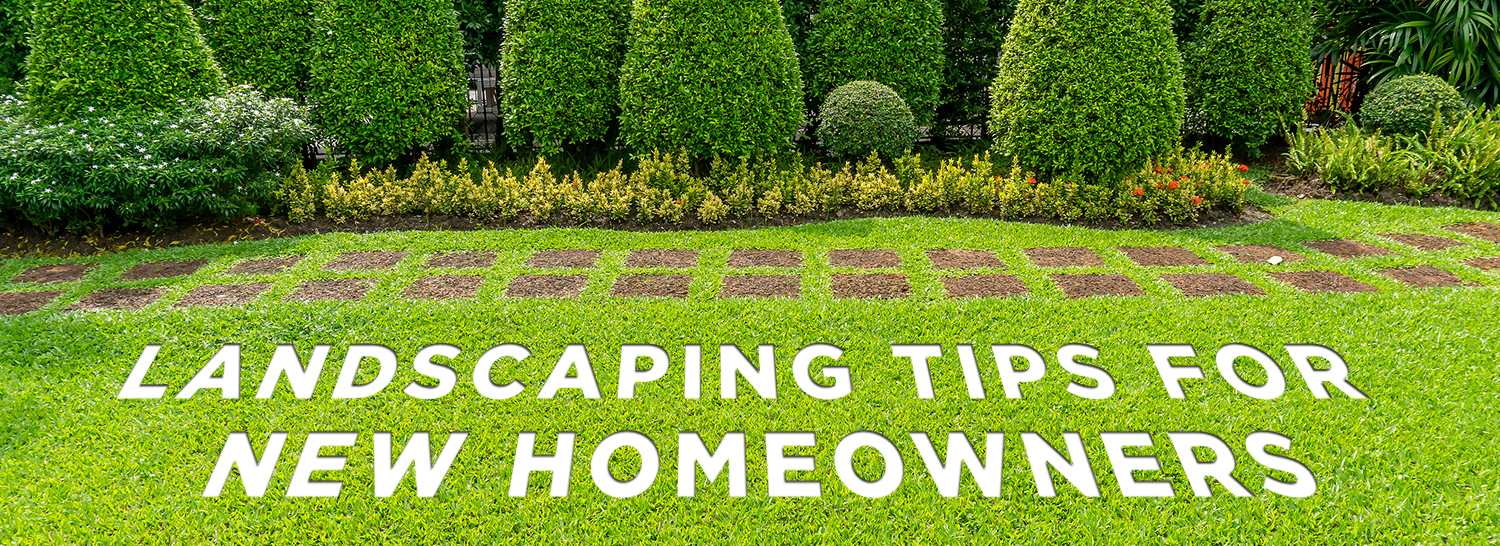 Landscaping Tips for New Homeowners