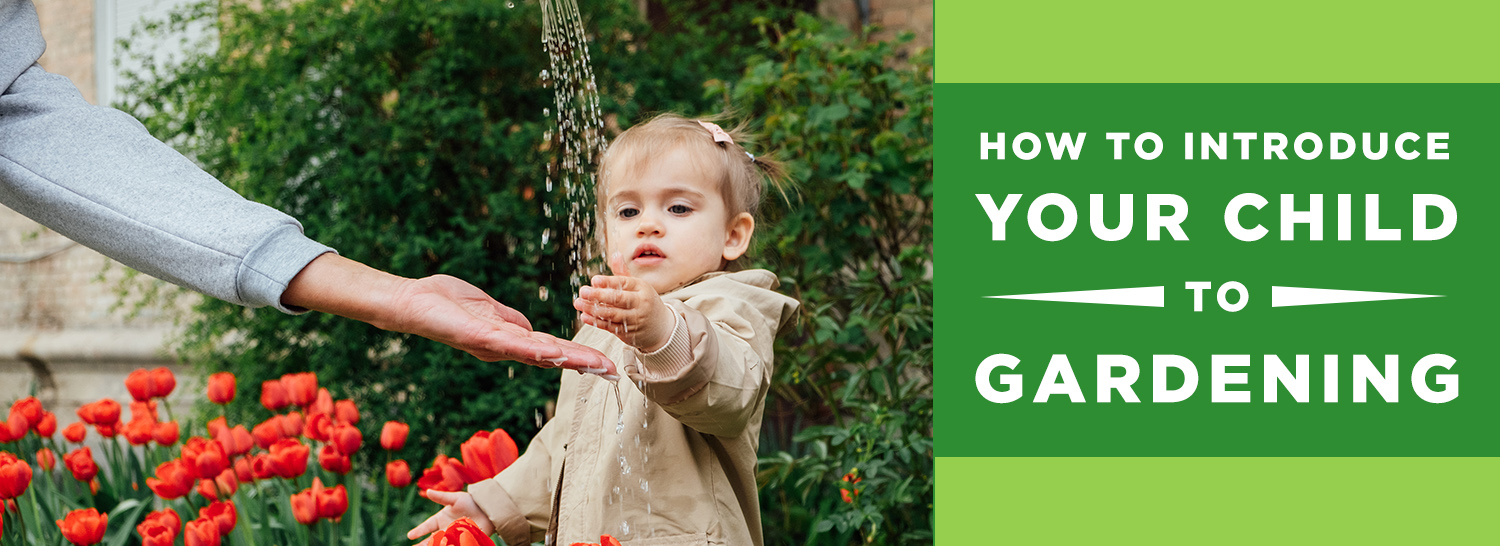 How to Introduce Your Child to Gardening