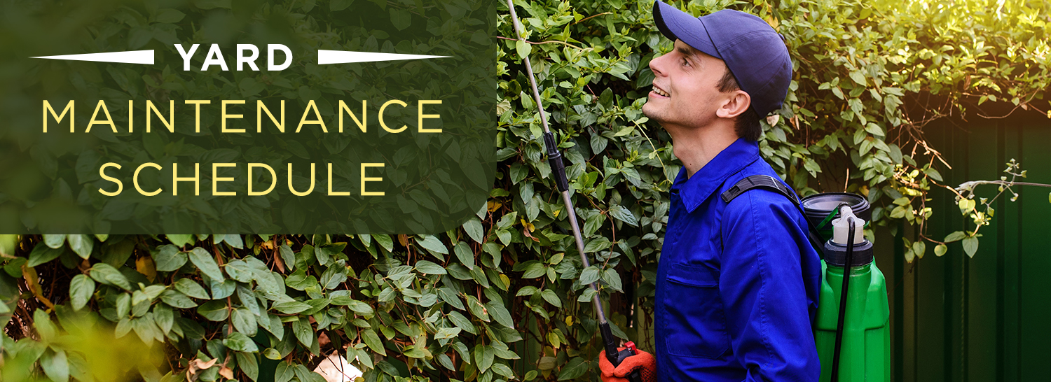 Guide to Creating a Yard Maintenance Schedule