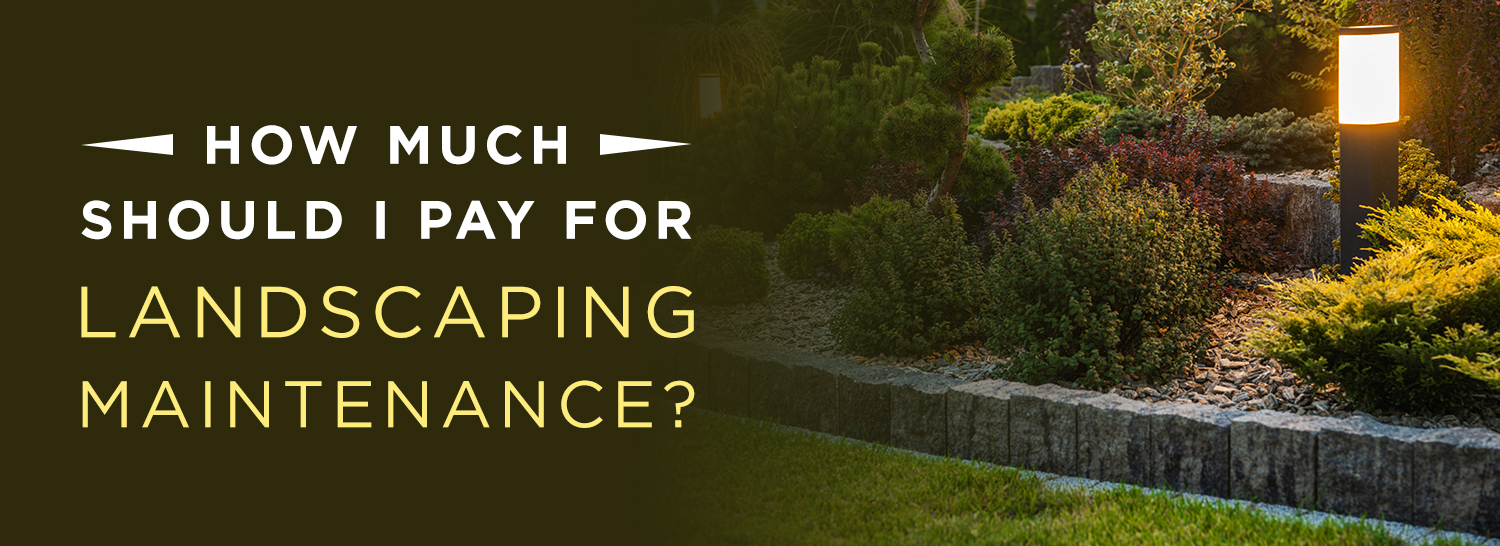 How Much Should You Pay For Landscaping Maintenance Turf Factory