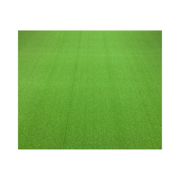 Artificial Turf