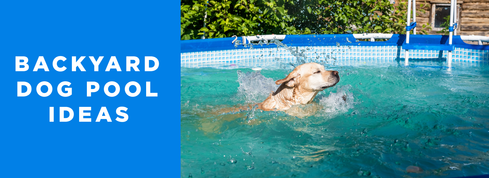 A variety of backyard dog pool ideas using foldable, stock tank, and splash pad pool types.