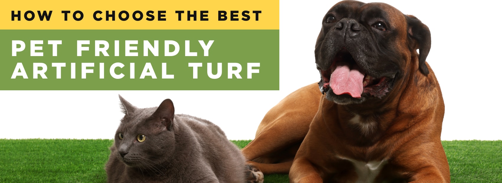 Guide to choosing the best pet-friendly artificial turf with tips on safety, comfort, odor control, and easy maintenance for pet owners.